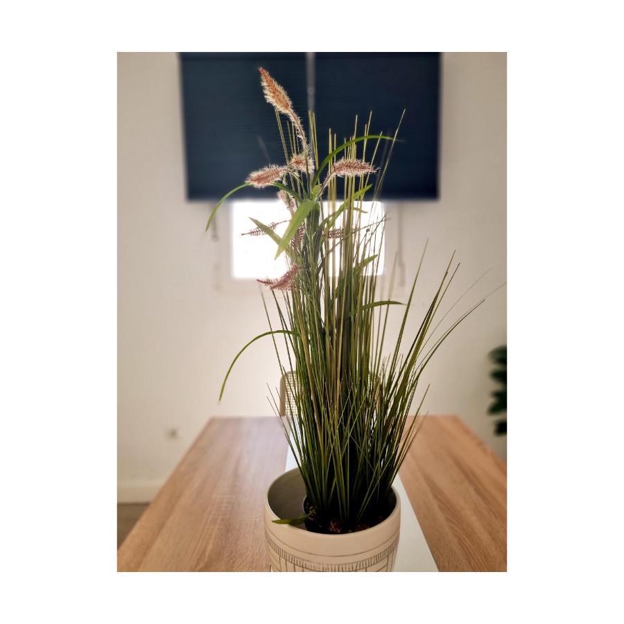 Apartamento Con Sol De Paz Torremolinos Ngoại thất bức ảnh